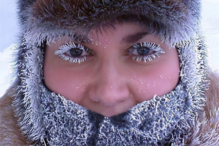 13 фактов 13 фактов