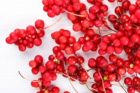 14 полезных свойств лимонника 14 полезных свойств лимонника