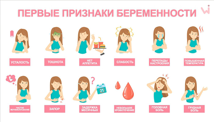 Первые признаки беременности Первые признаки беременности