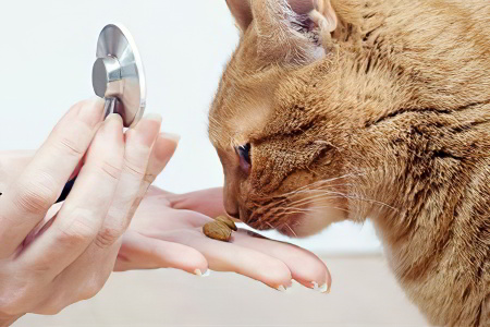 3 мифа о паразита 3 мифа о паразита