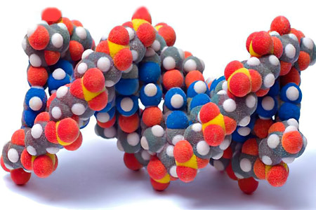 интересных фактов о белк интересных фактов о белк
