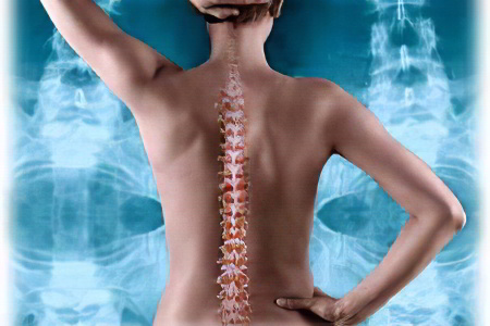 Хондропротекторы Хондропротекторы