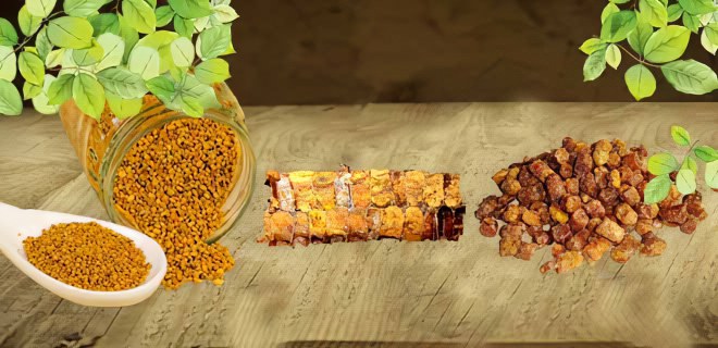 Виды перги Виды перги