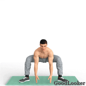 Приземистые прыжки Приземистые прыжки