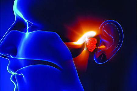 Адаптация пациентов Адаптация пациентов