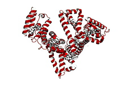 Альбумин Альбумин