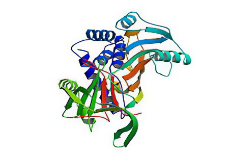 Альфа глобулины Альфа глобулины