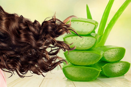 Алоэ для волос Алоэ для волос