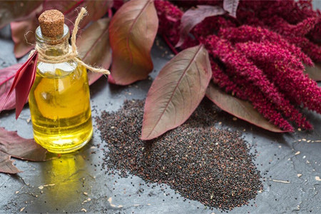 Польза амарантового масла Польза амарантового масла