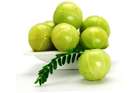 Польза для почек Польза для почек