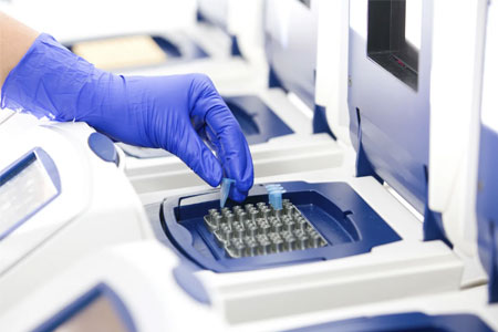 ПЦР что это такое ПЦР что это такое