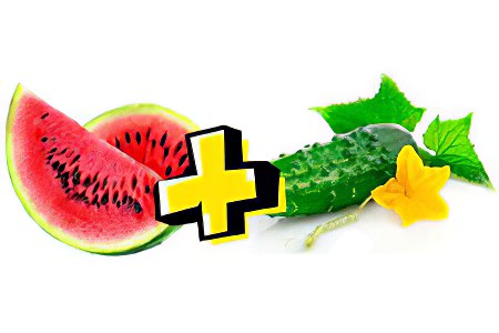 Арбузно-огуречная Арбузно-огуречная