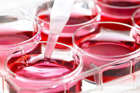 Азотистые соединения Азотистые соединения