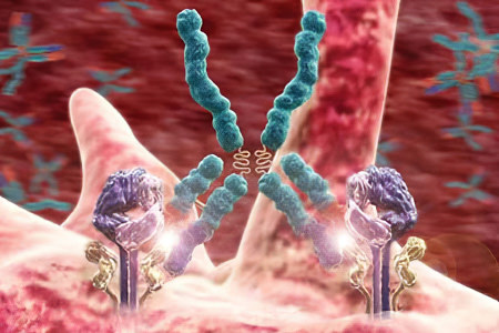 Аутоиммунные расстройства Аутоиммунные расстройства