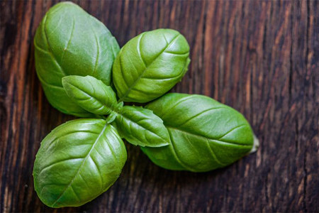 Помогает при сахарном диабете Помогает при сахарном диабете