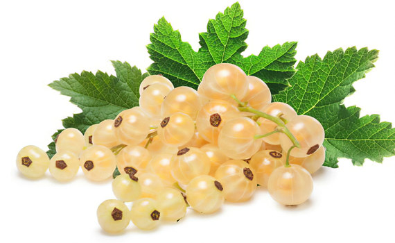 Белая смородина Белая смородина