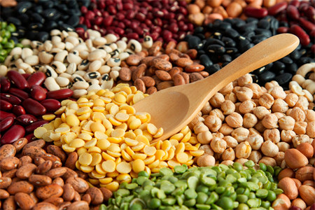 Эстрагон Бобовые