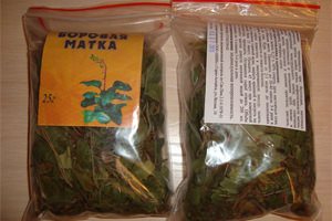 Боровая матка Боровая матка