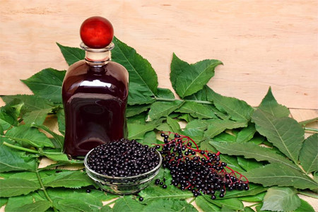 Бузина в народной медицине Бузина в народной медицине