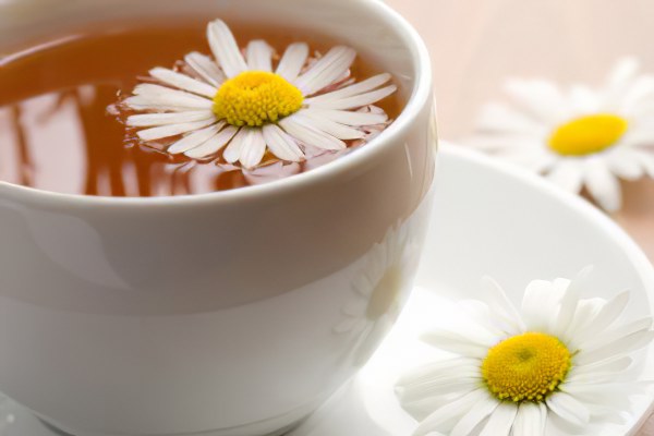 Чай из ромашки Чай из ромашки