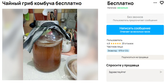 Гриб бесплатно на авито Гриб бесплатно на авито