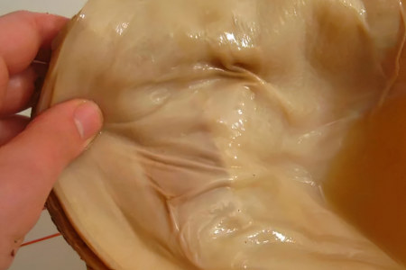 Какой стороной класть чайный гриб Какой стороной класть чайный гриб