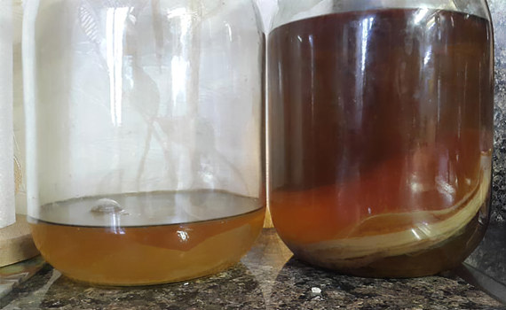 Гриб опускается на дно Гриб опускается на дно