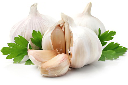 Чеснок Чеснок