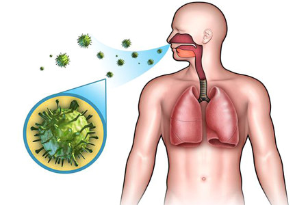 Что такое ОРЗ Что такое ОРЗ