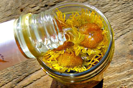 Настойка девясила Настойка девясила