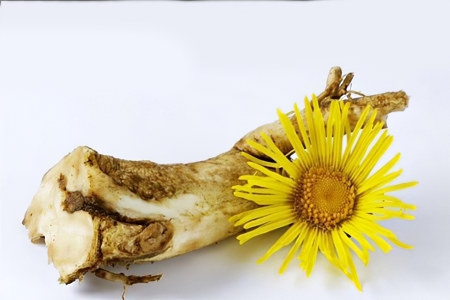 Состав девясила Состав девясила