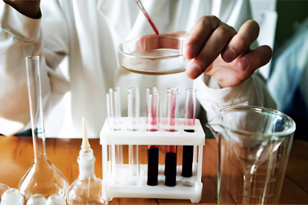 Диагностика заражения анкилостомами Диагностика заражения анкилостомами