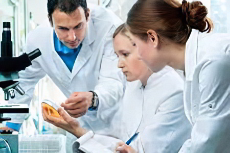 Диагностика паразитов Диагностика паразитов