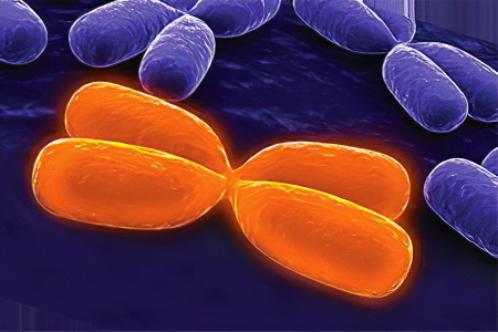 Диагностика синдрома Прадера-Вилли Диагностика синдрома Прадера-Вилли