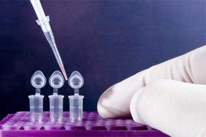 Для чего применяется ПЦР Для чего применяется ПЦР