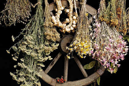 Аналоги Аналоги