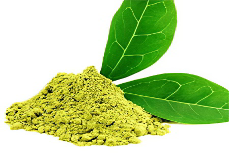 Экстракт зелёного чая Экстракт зелёного чая