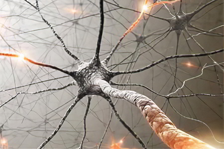 Причины эпилепсии у детей Причины эпилепсии у детей