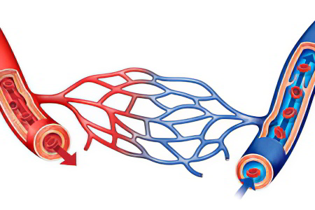 Этиология и патогенез гиповолемии Этиология и патогенез гиповолемии