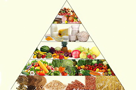 Формирование рациона Формирование рациона