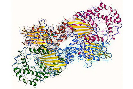 Фосфатаза кислая Фосфатаза кислая