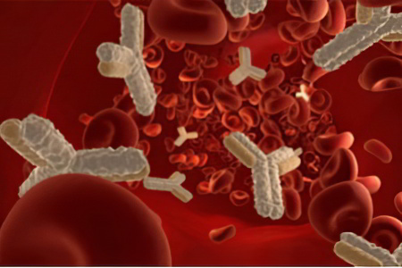 Фруктозамин Фруктозамин