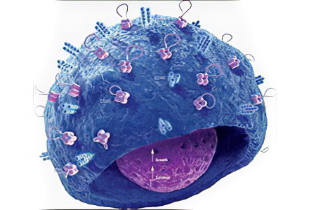 Гамма глобулины Гамма глобулины