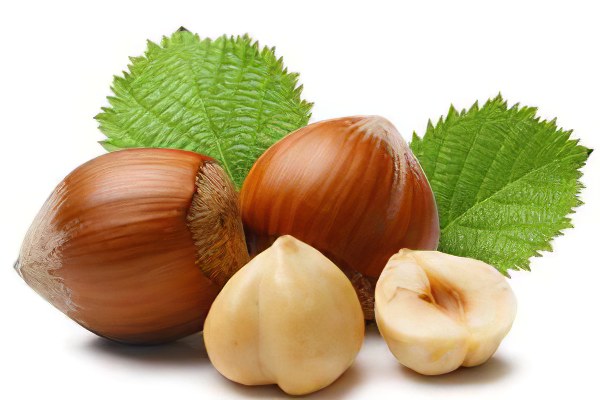 Где используется фундук Где используется фундук