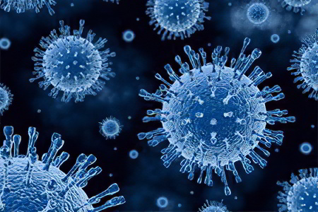 Генотипы гепатита С Генотипы гепатита С