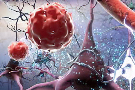 Глобулины Глобулины