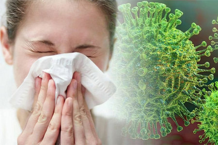 Грипп Грипп