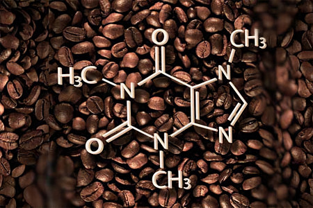 Химический состав кофе Химический состав кофе