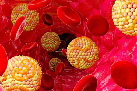 Холестерин общий Холестерин общий