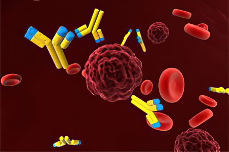 Иммунотерапия Иммунотерапия